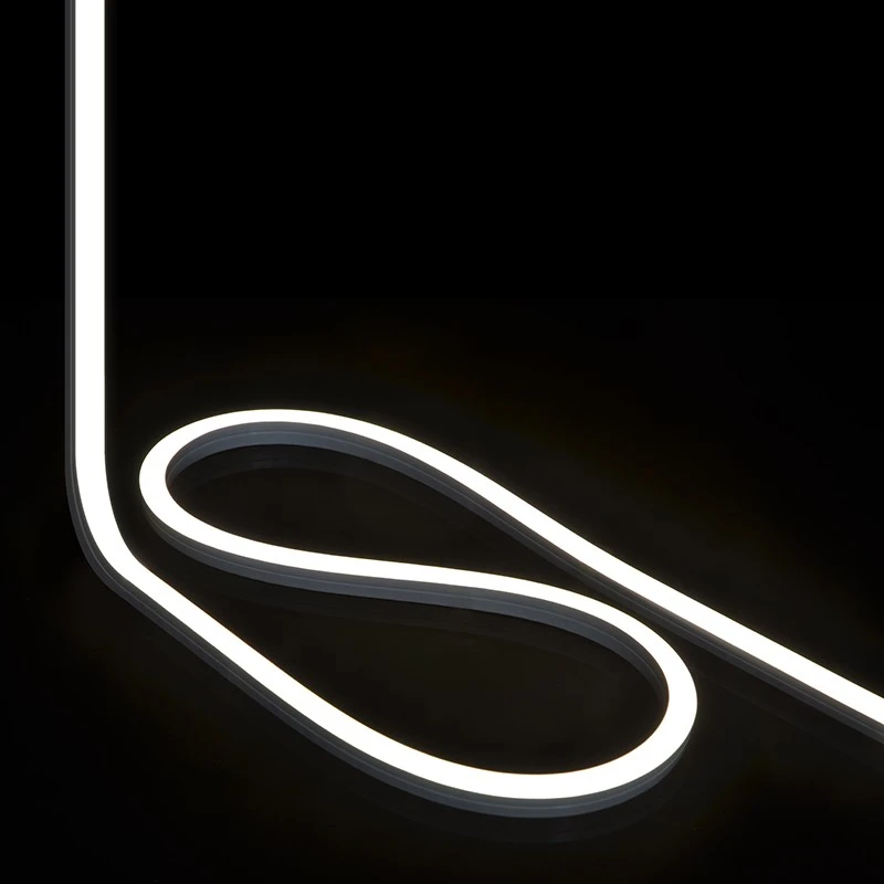 AC neon strip 2835 120